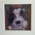 Olga the Collie