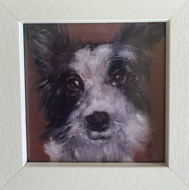 Olga the Collie