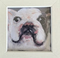 Bulldog