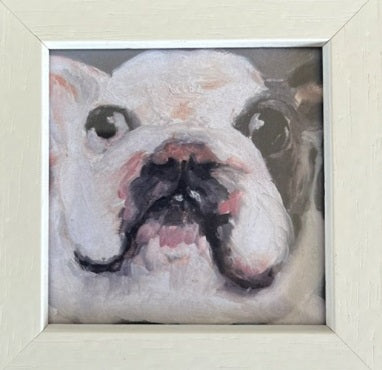 Bulldog