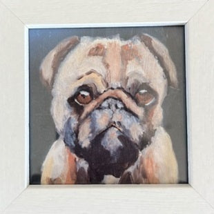 Pug