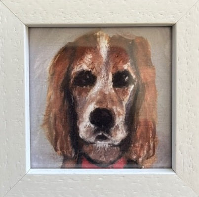 Old Dog