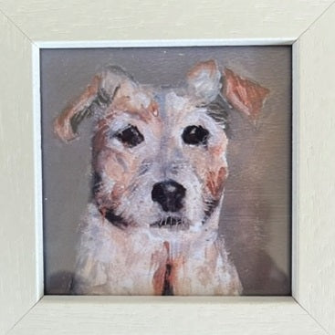 Jim the Jack Russell