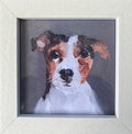 Rinnie the Jack Russell