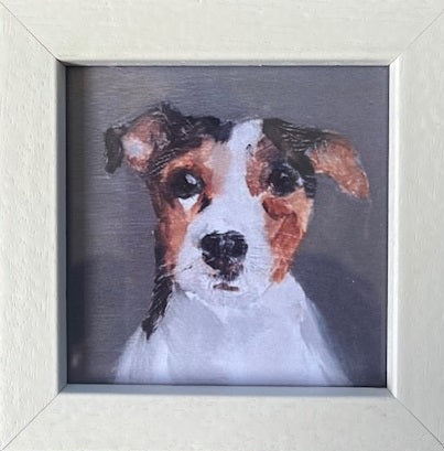 Rinnie the Jack Russell